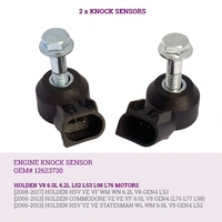 2 X Knock Sensor Holden STATESMAN CAPRICE WL WM WN V8 6.0 6.2 LS2 LS3 L76 L98