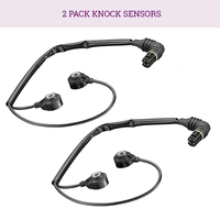 2 Pieces Knock Sensors for BMW E38 E39 E52 E53 E60 E63 E64 E65 E66 E70 M62 N62